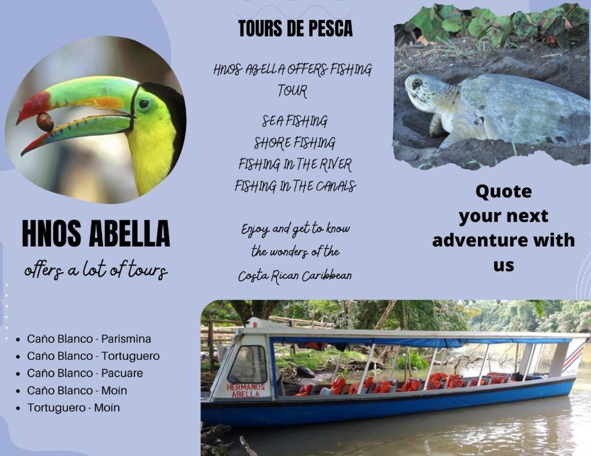 Sleep&Go! Cabina Cuadruple En Siquirres Centro - And Rafting Tour! Siqurres Da Alegria Екстериор снимка